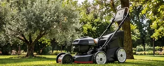 Giardinaggio a noleggio a Roma